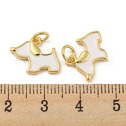 Messing Emaille Anhänger / charms&nbsp;KK-E093-01G-01