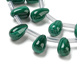 Natürliche Malachlit Perlen Stränge&nbsp;G-Q185-A01-01
