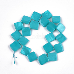 Perles de coquille d'eau douce peintes&nbsp;X-SHEL-T010-05E