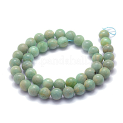 Fili di perline amazonite naturale&nbsp;G-P322-22-10mm