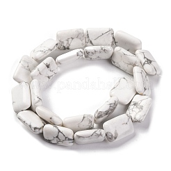 Chapelets de perles en howlite naturelle&nbsp;G-T047-B23-01