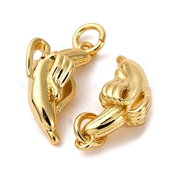 Messing Anhänger & Charms&nbsp;KK-O140-17G