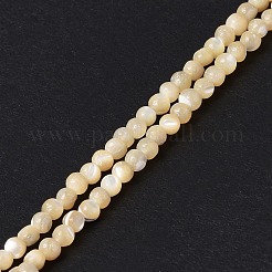 Natürliche Trochidschale / Trochusschalenperlenstränge&nbsp;SSHEL-S266-023B-01