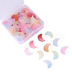 100pcs 10 Farben Glasanhänger&nbsp;GLAA-CJ0001-47