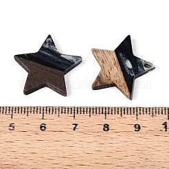 Colgantes de resina y madera de nogal&nbsp;RESI-T057-37E