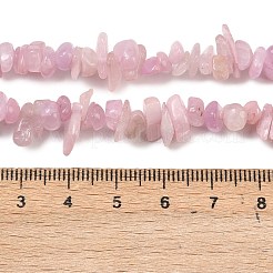 Naturperlen Stränge kunzite&nbsp;G-P597-A01-01