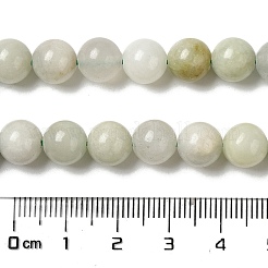 Natürliche Jade Perlen Stränge&nbsp;G-H298-A16-05