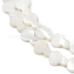 Natürlichen Süßwasser-Muschelperlen Stränge&nbsp;SHEL-K010-02A