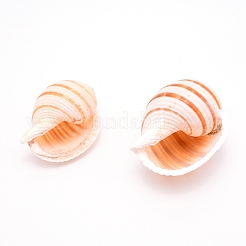Natürlichen Schale&nbsp;DJEW-WH0010-70