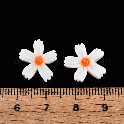 Naturali di acqua dolce perline shell fili&nbsp;SHEL-F004-04-01
