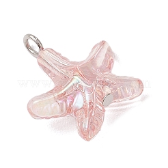 Transparenten Acryl-Anhänger&nbsp;PALLOY-JF03994-01