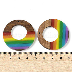 Colgantes de resina y madera de nogal con tema de arcoíris del orgullo&nbsp;WOOD-K012-04