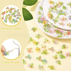 40 colgante acrílico esmerilado de 8 colores&nbsp;PALLOY-YW00177