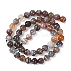 Natur Botswana Achat Perlen Stränge&nbsp;G-G453-A01-8mm