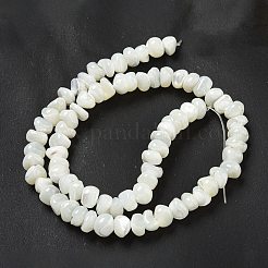 Hebras de cuentas de concha de trochus natural&nbsp;BSHE-G039-01B