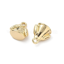 Messing Anhänger & Charms&nbsp;LS-KK-L260-19G