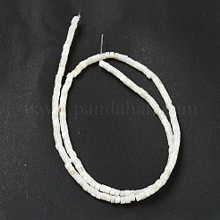 Natürlichen Süßwasser-Muschelperlen Stränge&nbsp;BSHE-G039-03