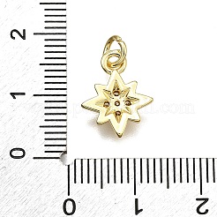 Pendentifs avec zircon cubiques à micro-pavés en laiton&nbsp;KK-Z100-14G