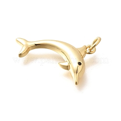Pendenti in zirconi cubici trasparenti in micro pavè di ottone&nbsp;LS-KK-Q040-03B-G