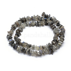 Natur Labradorit Perlen Stränge&nbsp;G-P332-54
