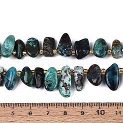 Natur Chrysokoll Perlen Stränge&nbsp;G-Z091-A46