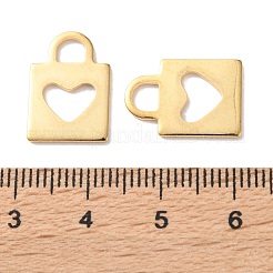 Pendentifs en acier inoxydable 303&nbsp;STAS-E528-01G