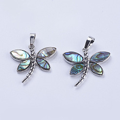 Abalone Muschel / Paua Muschel Anhänger&nbsp;X-SSHEL-L008-07P