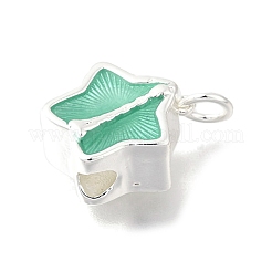 Messing Emaille Anhänger / charms&nbsp;KK-U072-10S