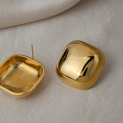 Ohrstecker aus Edelstahl für Damen&nbsp;TF5466-1