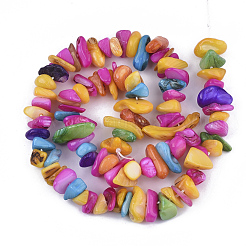 Süßwasser-Muschelperlen Stränge&nbsp;SHEL-S276-30