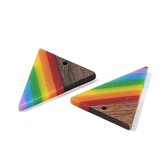 Colgantes de madera y resina opaca de color arcoíris&nbsp;WOOD-K012-13