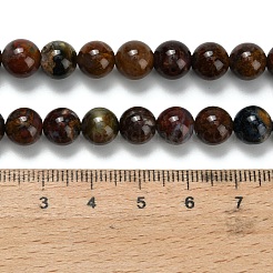 Natürliche Pietersite Perlenstränge&nbsp;G-L642-B16-8mm