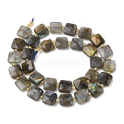 Natur Labradorit Perlen Stränge&nbsp;G-L642-L02-10mm