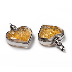 Pendentifs de bouteille en verre&nbsp;G-Z010-02G