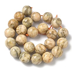 Chapelets de perles de feldspath naturel&nbsp;G-F818-A06-16mm-02