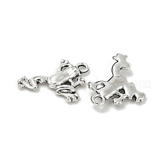 Tibetischer stil Aluminium Anhänger & Charms&nbsp;TIBE-S324-11AS