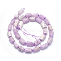 Naturperlen Stränge kunzite&nbsp;G-O170-43