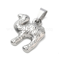 Ciondoli in acciaio inox 304&nbsp;STAS-B141-02A-P