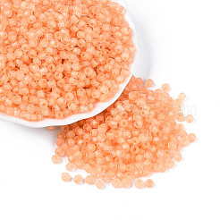 Perles de rocaille en verre de couleurs intérieures transparentes&nbsp;SEED-T007-20A-02