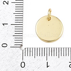 Breloques en laiton&nbsp;KK-L251-41G-C03
