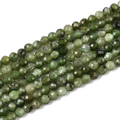 Natürliche kanadische Jade Perlen Stränge&nbsp;G-T143-04