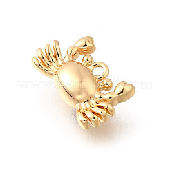 Messing-Charms mit Ozeanmotiv&nbsp;KK-C096-13B-G