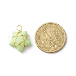Pendentifs en résine opaque&nbsp;PALLOY-JF01849-01