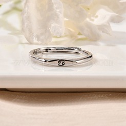 Bagues réglables en argent sterling rhodié 925&nbsp;RJEW-S397-01P-04