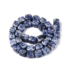 Natürliche blaue Fleck Jaspis Perlen Stränge&nbsp;G-Q608-10G