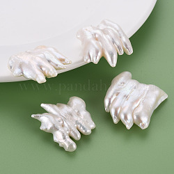 Perles de perles keshi naturelles, perle de culture d'eau douce, pas de trous / non percés, peigne, couleur de coquillage, 33~38x32~33x10~14mm