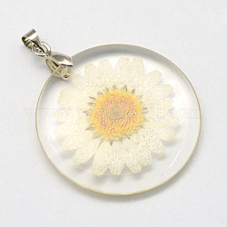 Pendentifs en résine d'alliage, plat rond, avec fleurs séchées à l'intérieur, platine, floral blanc, 32~32.5x4~4.5mm, Trou: 4x4mm