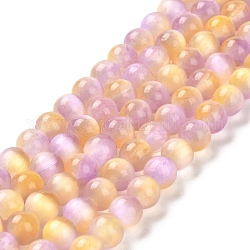 Brins de perles teints en sélénite naturelle, imitation d'oeil de chat, Grade a, ronde, Prune, 6mm, Trou: 0.8mm, Environ 62~66 pcs/chapelet, 15.24~15.43'' (38.7~39.2 cm)