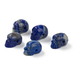 Natürliche Lapislazuli-Perlen, Schädel, 18~19x12~13x13~14 mm, Bohrung: 1.7~2 mm