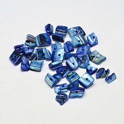Cuentas de chips de concha de agua dulce natural teñida, fragmentos de concha, azul real, 7~11x5~8mm, agujero: 1 mm, aproximamente 980 unidades / 500 g